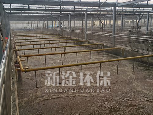 污水處理廠(chǎng)可提升曝氣器案例